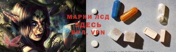 ГАЛЛЮЦИНОГЕННЫЕ ГРИБЫ Аркадак