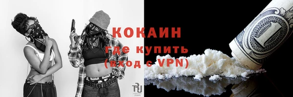 кокс Алексин