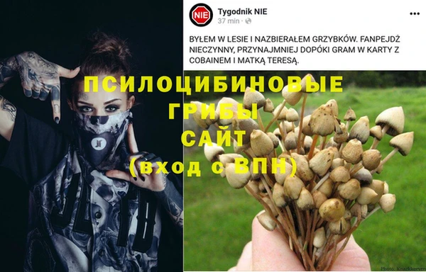 хмурый Пролетарск