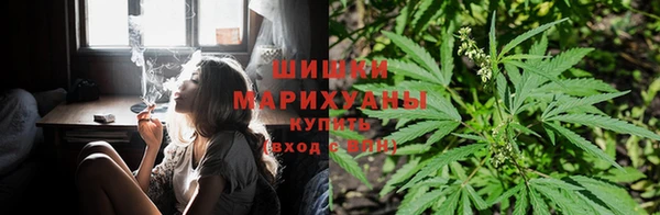 прущая мука Алзамай