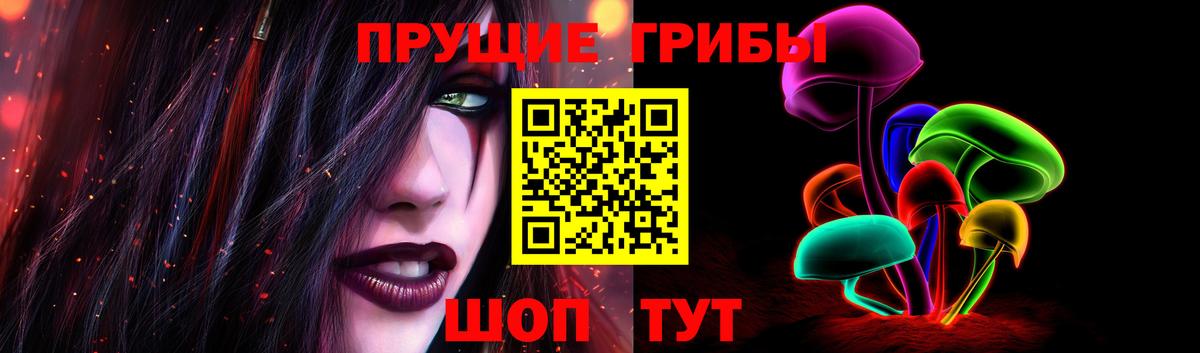 Псилоцибиновые грибы Cubensis Уварово
